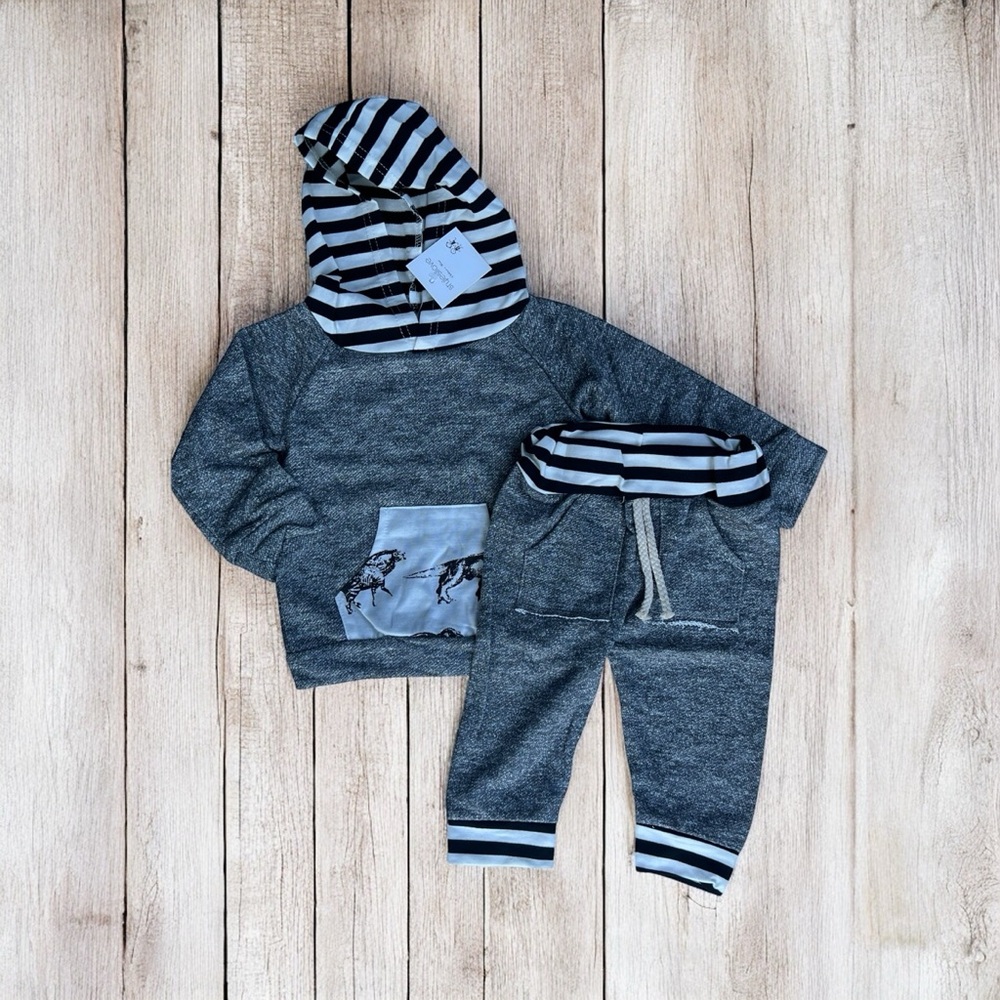 Striped Gray Kids Hoodie and Jogger Set. NWT